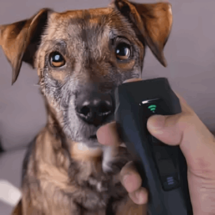 Power Hub customer review Michelle P.