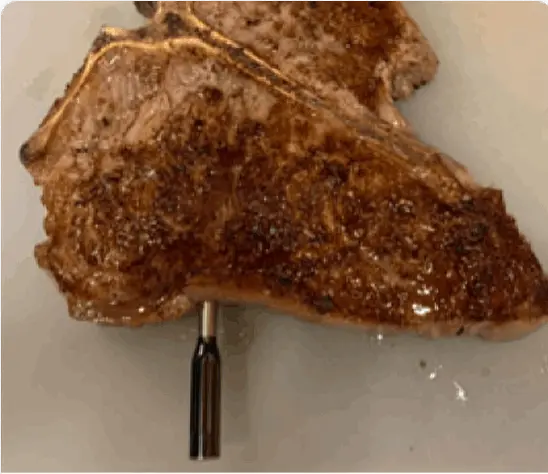GrillSync Customer Review Richard C.